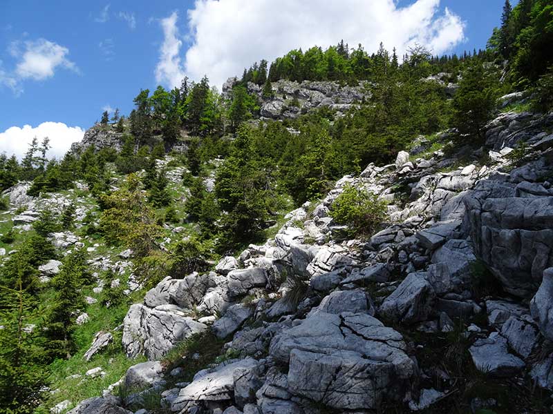 Bärensteinmauer